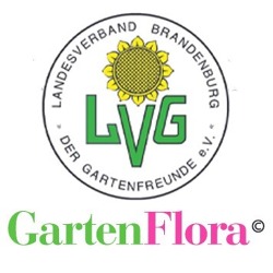 Verbandsinformationen Brandenburger GartenFlora 08/2023