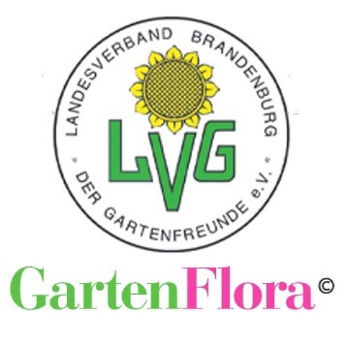 Verbandsinformationen Brandenburger GartenFlora 11/2024